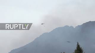 Spain: Malaga's Sierra Bermeja fires ravage mountain range for fifth day