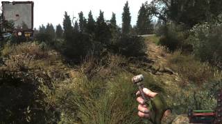 Stalker Хардкоррим с комментариями