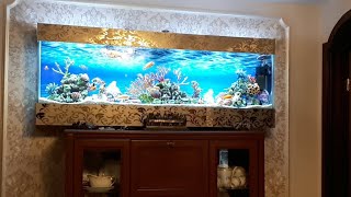ПРЯМАЯ ТРАНСЛЯЦИЯ С КАРИНОЙ ТАРО