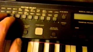 Technics SX-PR270 Piano Goes Crazy 2014 02 06 23 36 48