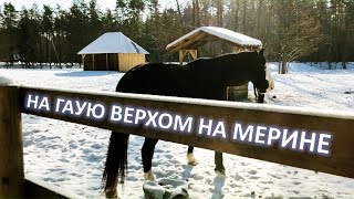 К истокам гауи верхом на мерине (в -15°С)