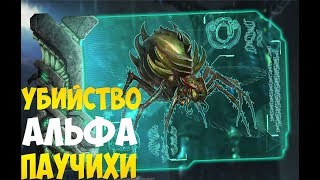 Поход на босса/Убийство 3 альфа паучих