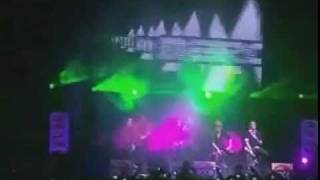 AMIGA ACUSTICO