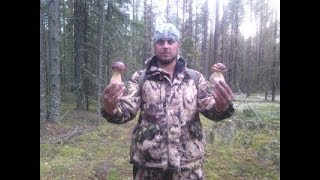 ЗА БОРОВИКАМИ\ ТИХАЯ ОХОТА\ ПЕРВЫЙ ВЫХОД\ С ДНЕМ РЕСПУБЛИКИ 2018!!!