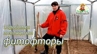 Обработка теплицы от фитофторы