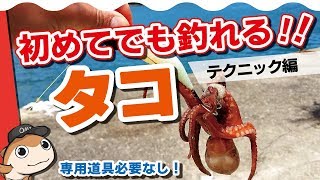 タコ釣りを始めよう！代用タックルで気軽に始めるオクトパッシング！【テクニック編】