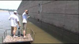 AWESOME! Aerial Bowfishing! Fish Attack!