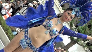 サンバ 神戸まつり ? 青羽根パシスタ ? 【dance motion & beautiful costume of samba】