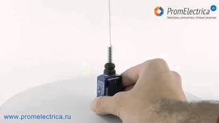 XCMD2106L1 Концевой выключатель влагостойкий c рычагом выключения "кошачий ус"