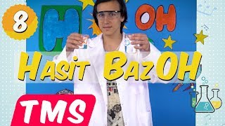 Asit ve Bazlar Şarkısı ?