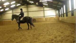 Me + Rachael jumping Monty and Sam!