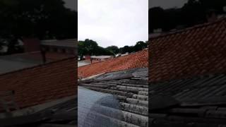 Calha entupida com folhas, a solução mais simples