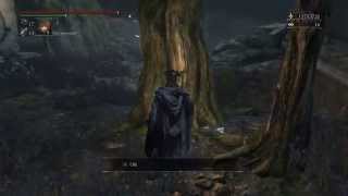 Bloodborne [PS4]: Запретный Лес (#2) - Forbidden Woods