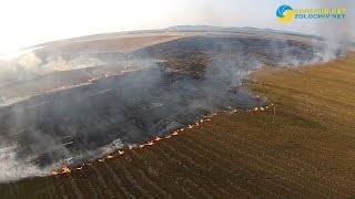 На околиці Золочева знову горить стерня
