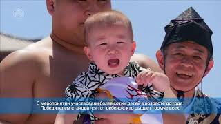 Борцы сумо в Японии заставили младенцев громко плакать