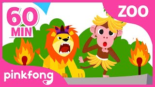 Pinkfong Zoológico ????????| Las Mejores Canciones de Animales para niños | Pinkfong Canciones Infantiles