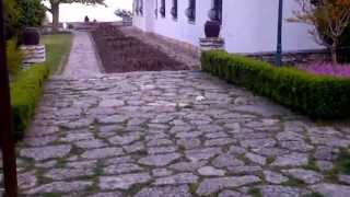 Olga CIOLACU - "Revenire" la Castelul Reginei Maria din Balcik,Bulgaria