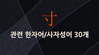 寸에 관한 한자어/사자성어 30개
