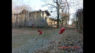 Altes Lager,в/ч 47280,60413. 18.02.2019