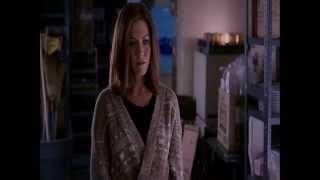 o amor pede passagem dublado.em Recanto-filmes