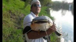 PIRARARA 28 KG PESQUEIRO CASTELINHO,FELIPE PIOVEZAN