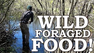 WILD FOOD SURVIVAL CHALLENGE | SPRING EDIBLES Over OPEN FIRE | BURDOCK, LEAKS, THISTLE & MAPLE SYRUP