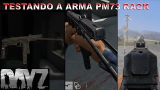Dayz : Gameplay / Testando a arma Pm 73 Rak