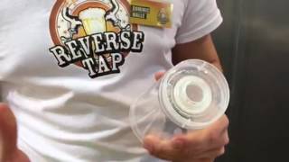 Bier von unten