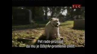 sve o psima 2/4
