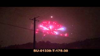 SU 01339 T 175 30