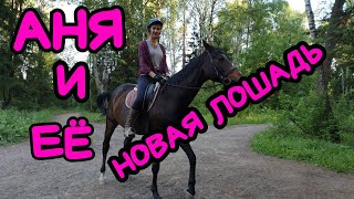 # 72 АНЯ И ЕЁ НОВАЯ ЛОШАДЬ