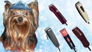 Машинка для стрижки собак | Как выбрать | Отзывы.