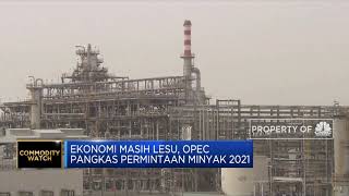 Ekonomi Masih Lesu, OPEC Pangkas Permintaan Minyak 2021