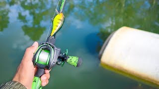 Catching GIANT Bass in SMALL Ponds (Bank Fishing)