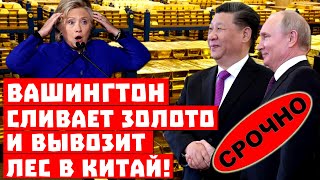 Срочно, Путин довёл США! Вашингтон сливает золото и вывозит лес в Китай!