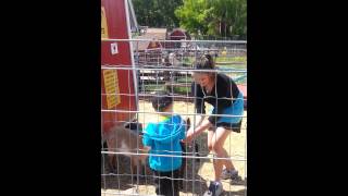 Hunter feeds goats