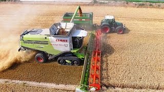 Mähdrescher CLAAS LEXION 780 Terra Trac - Fendt Weizenernte biggest combine harvester wheat harvest