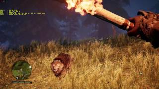 Rx580 + i5 4460 Far Cry Primal