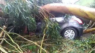 Kodaikanal kaja storm problems share and help