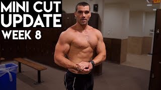 Mini Cut Update | Upper Body Workout | Next Cheat Day Plan