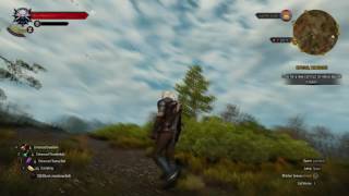 WITCHER 3: WILD HUNT - GTX 1060 6GB &CORE I5 3450 ULTRA GAMEPLAY WITH Hairworks
