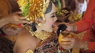 Potong Gigi (Metatah) Balinese Ceremony