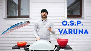 И снова воблер O.S.P Varuna косит щуку. Щука почти на каждом забросе.
