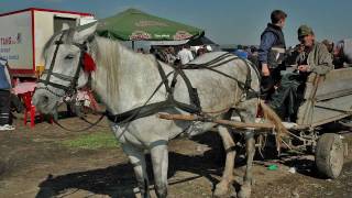 Paard en Wagen ;farmwagons romania in Roemenië HD