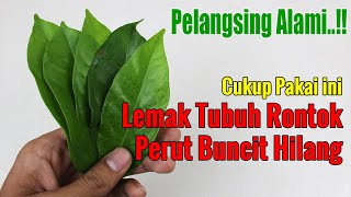 MENGEJUTKAN... TANAM SEGERA TUMBUHAN INI, BISA DITUKAR DENGAN OBAT MAHAL
