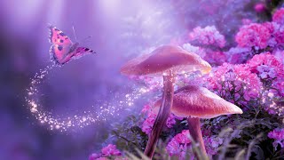 Healing Meditation Music | 432Hz Positive Mind | Positive Aura Cleanse | Deep Healing Music
