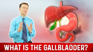 What is the GallBladder?