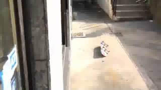 Sean Malto's Not Always Friendly