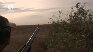 Iberalia TV - Argentina con Torcaza