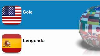 Learn Spanish vocabulary #Topic = Flat fish